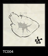 TC004